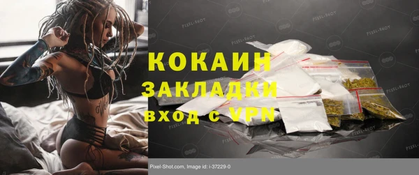дмт Дмитриев