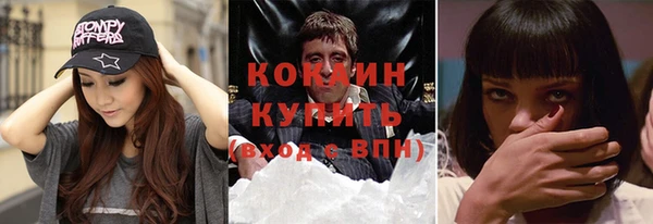 дмт Дмитриев