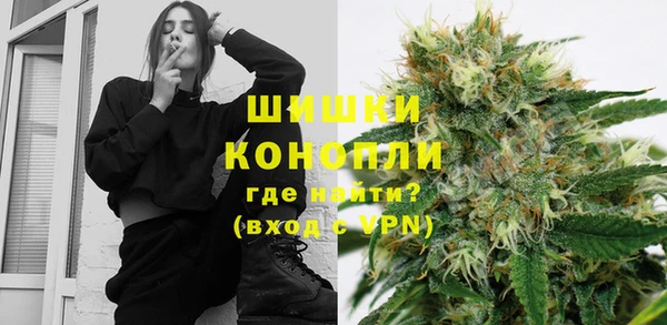дмт Дмитриев