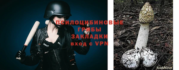 дмт Дмитриев